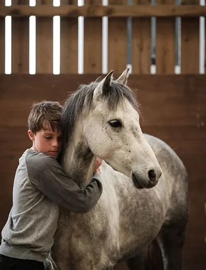 Современные спорт-площадки