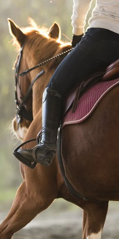 Конный спорт