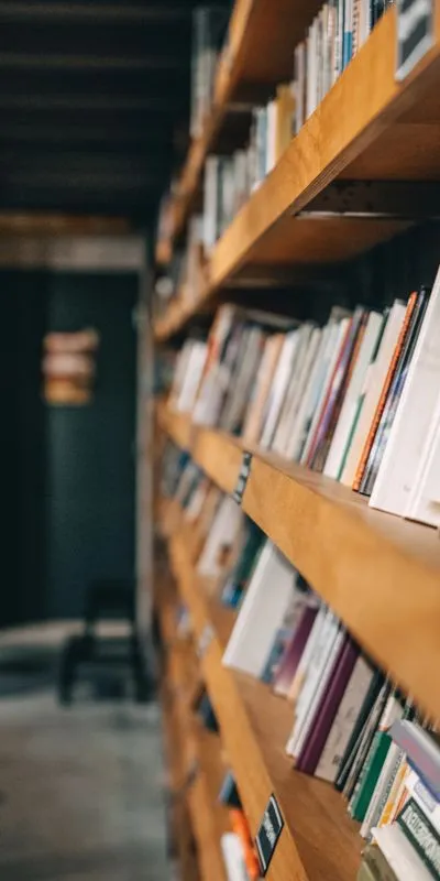 Образование