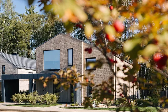 живите в окружении леса